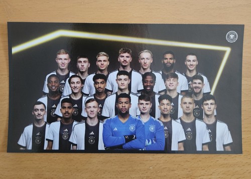 Panini ferrero dfb team - panini,