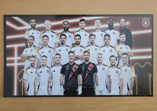 Panini ferrero dfb team - dfb,